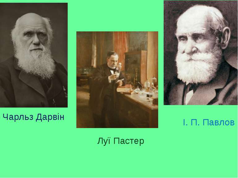 Чарльз Дарвін Луї Пастер І. П. Павлов