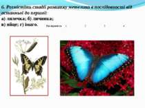 6. Розмістіть стадії розвитку метелика в послідовності від останньої до першо...