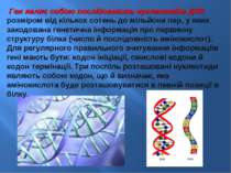 Ген являє собою послідовність нуклеотидів ДНК розміром від кількох сотень до ...