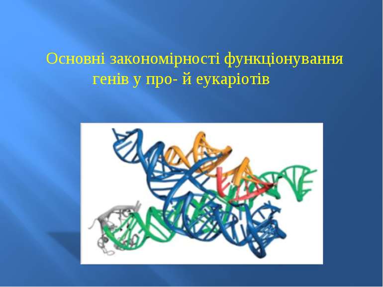 Основні закономірності функціонування генів у про- й еукаріотів
