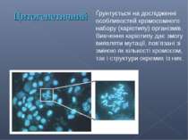 Цитогенетичний Ґрунтується на дослідженні особливостей хромосомного набору (к...