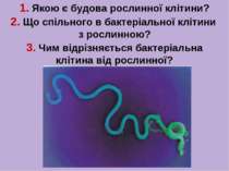 1. Якою є будова рослинної клітини? 2. Що спільного в бактеріальної клітини з...