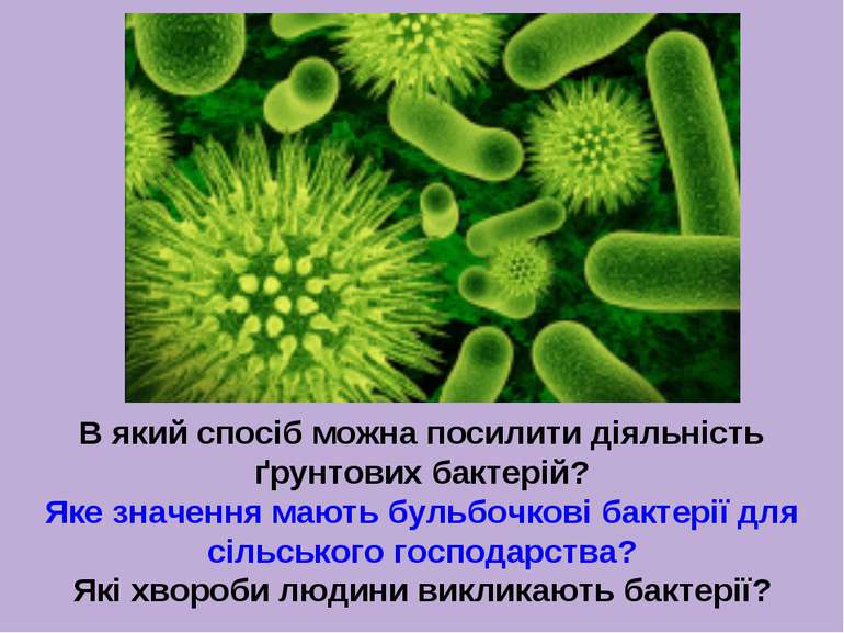 В який спосіб можна посилити діяльність ґрунтових бактерій? Яке значення мают...