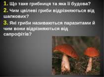 1. Що таке грибниця та яка її будова? 2. Чим цвілеві гриби відрізняються від ...