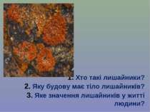 1. Хто такі лишайники? 2. Яку будову має тіло лишайників? 3. Яке значення лиш...