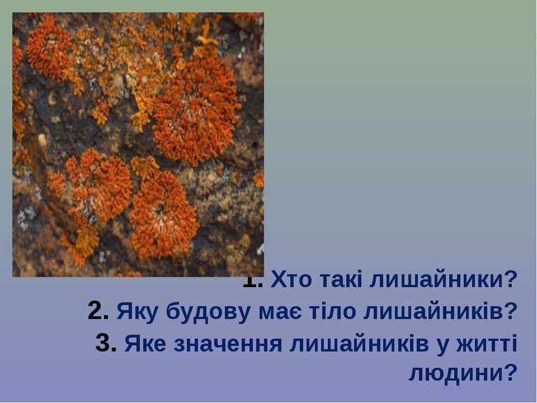 1. Хто такі лишайники? 2. Яку будову має тіло лишайників? 3. Яке значення лиш...