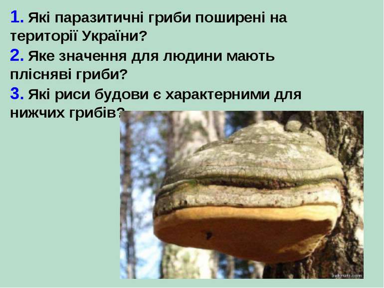 1. Які паразитичні гриби поширені на території України? 2. Яке значення для л...