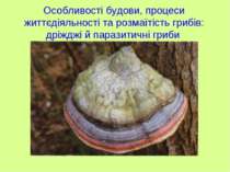 Особливості будови, процеси життєдіяльності та розмаїтість грибів: дріжджі й ...