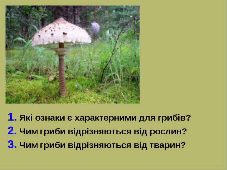 1. Які ознаки є характерними для грибів? 2. Чим гриби відрізняються від росли...