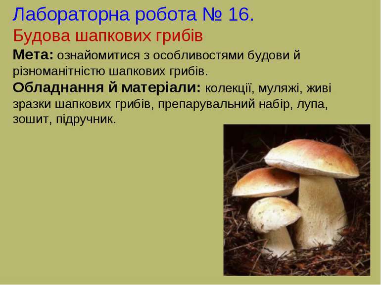 Лабораторна робота № 16. Будова шапкових грибів Мета: ознайомитися з особливо...