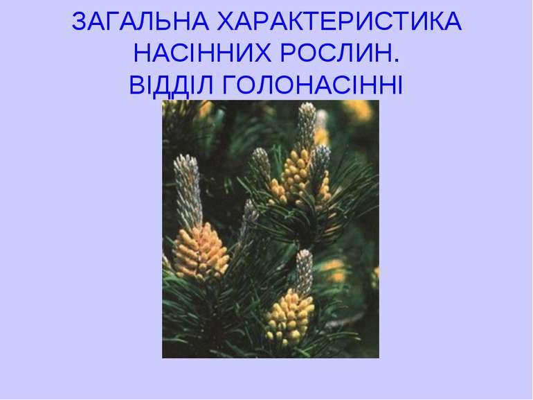 ЗАГАЛЬНА ХАРАКТЕРИСТИКА НАСІННИХ РОСЛИН. ВІДДІЛ ГОЛОНАСІННІ