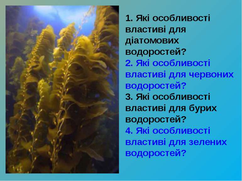1. Які особливості властиві для діатомових водоростей? 2. Які особливості вла...