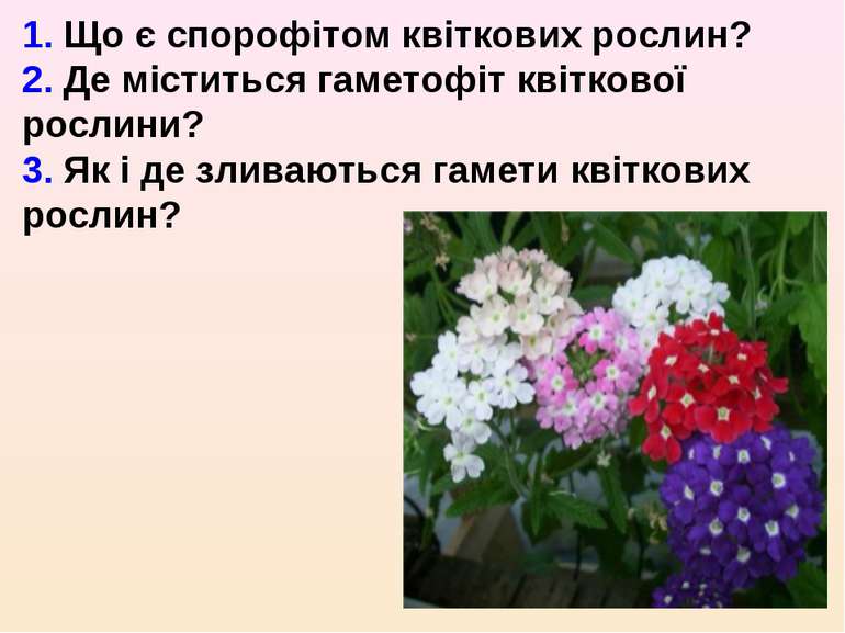 1. Що є спорофітом квіткових рослин? 2. Де міститься гаметофіт квіткової росл...