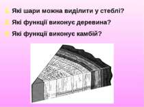 1. Які шари можна виділити у стеблі? 2. Які функції виконує деревина? 3. Які ...