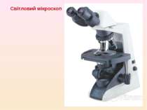 Світловий мікроскоп