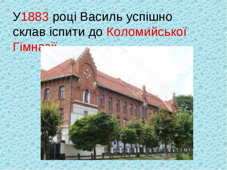 У1883 році Василь успішно склав іспити до Коломийської Гімназії.
