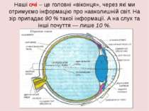 Наші очі – це головні «віконця», через які ми отримуємо інформацію про навкол...