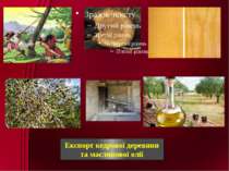 Експорт кедрової деревини та маслинової олії