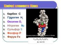Карбон C Гідроген H2 Оксиген O2 Нітроген N2 Сульфур S Фосфор P Ферум Fe Молек...