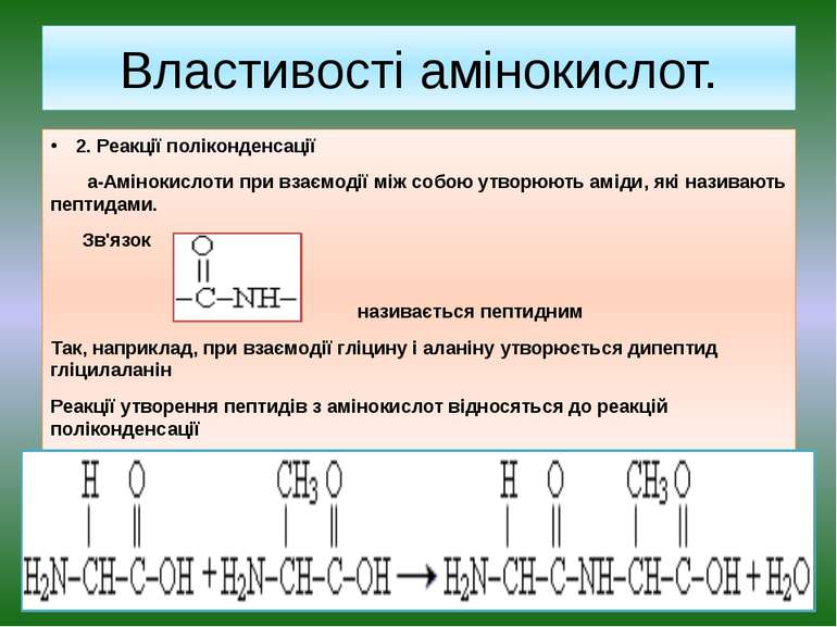 Властивості амінокислот. 2. Реакції поліконденсації a-Амінокислоти при взаємо...