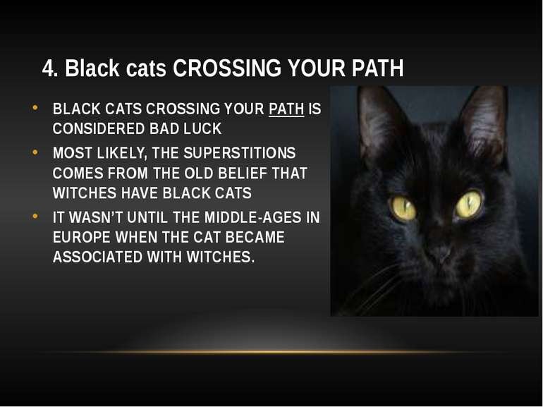 4. Black cats CROSSING YOUR PATH BLACK CATS CROSSING YOUR PATH IS CONSIDERED ...