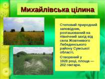 Михайлівська цілина Степовий природнийзаповідник, розташований на північний з...
