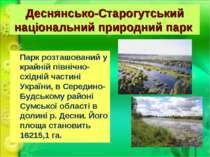 Деснянсько-Старогутський національний природний парк  Парк розташований у кра...
