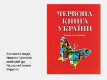Зникаючі види тварин і рослин занесені до Червоної книги України