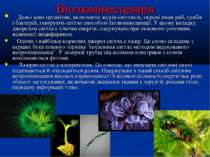 Біолюмінесценція Деякі живі організми, включаючи жуків-світляків, окремі види...