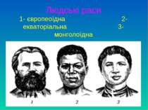 Людські раси 1- європеоїдна 2- екваторіальна 3- монголоїдна