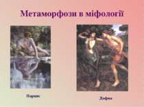 Метаморфози в міфології Нарцис Дафна