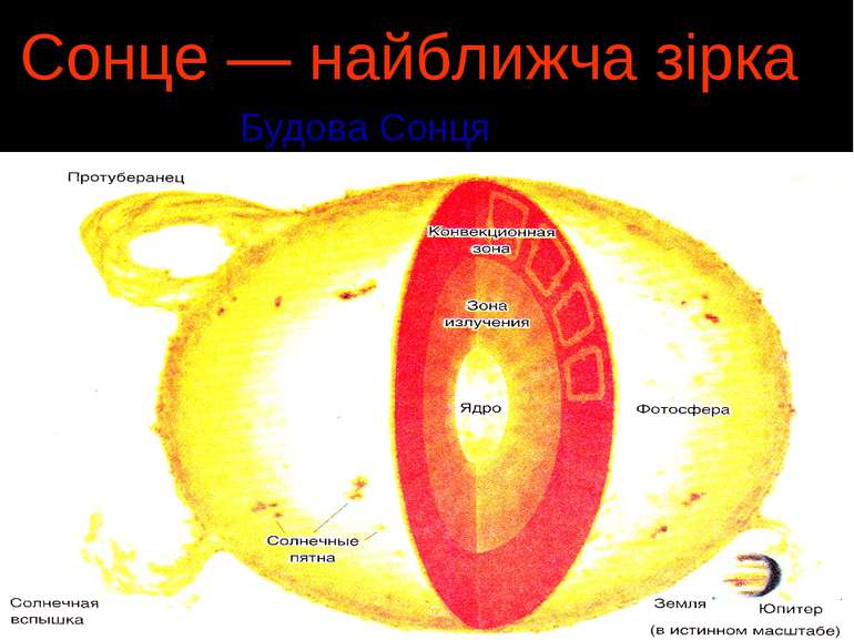 Сонце — найближча зірка Будова Сонця