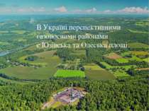 В Україні перспективними газоносними районами є Юзівська та Олеська площі.