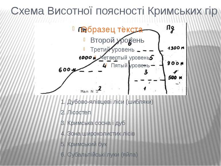 Схема Висотної поясності Кримських гір 1. Дубово-ялівцеві ліси (шибляки) 2. Л...