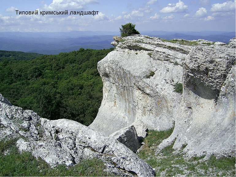 Типовий кримський ландшафт
