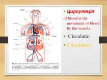 Циркуляція of blood is the movement of blood by the vessels. Circulatio Circu...