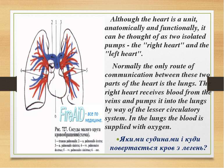 Although the heart is a unit, anatomically and functionally, it can be though...