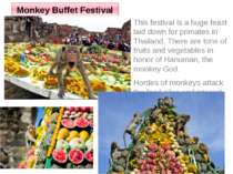 Monkey Buffet Festival This festival is a huge feast laid down for primates i...