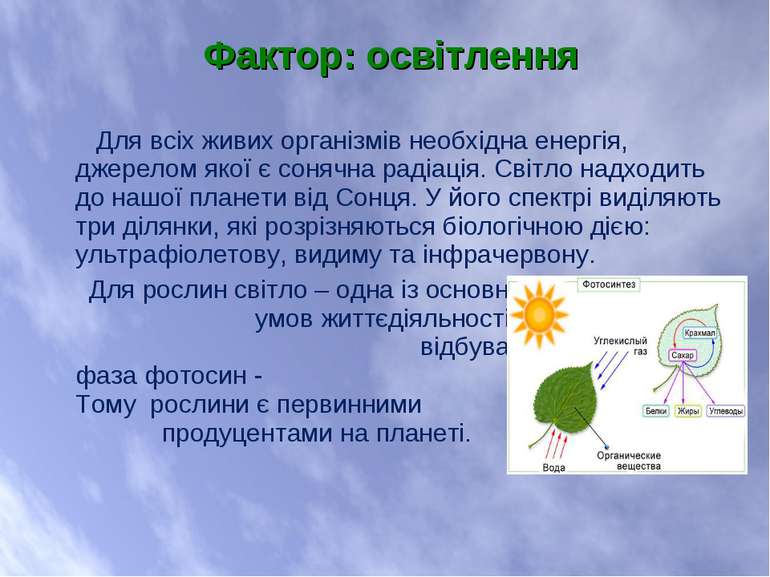 Для всіх живих організмів необхідна енергія, джерелом якої є сонячна радіація...