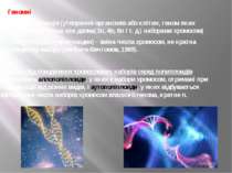 Геномні: - поліплоідизація (утворення організмів або клітин, геном яких предс...