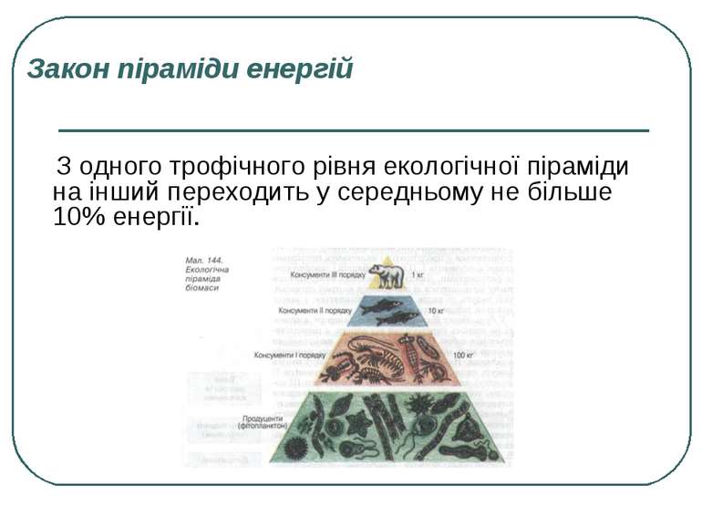 Закон піраміди енергій З одного трофічного рівня екологічної піраміди на інши...