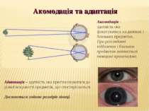 Акомодація та адаптація Адаптація – здатність ока пристосовуватися до різної ...