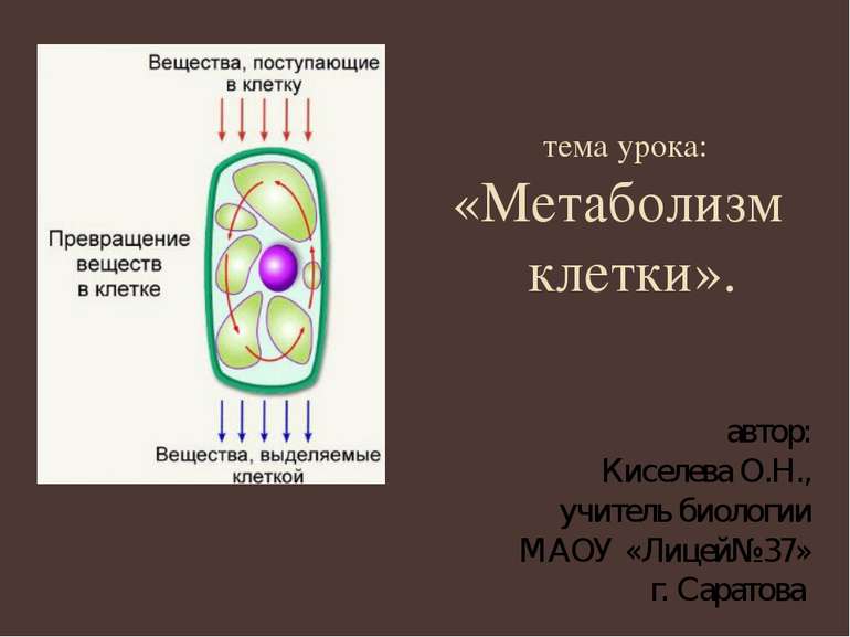 тема урока: «Метаболизм клетки». автор: Киселева О.Н., учитель биологии МАОУ ...