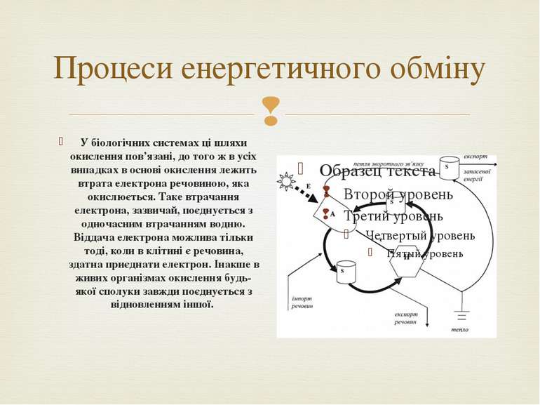 Процеси енергетичного обміну У біологічних системах ці шляхи окислення пов’яз...