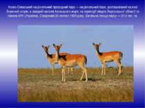 Азово-Сиваський національний природний парк — національний парк, розташований...