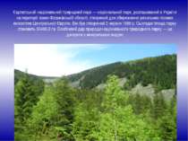 Карпатський національний природний парк — національний парк, розташований в У...