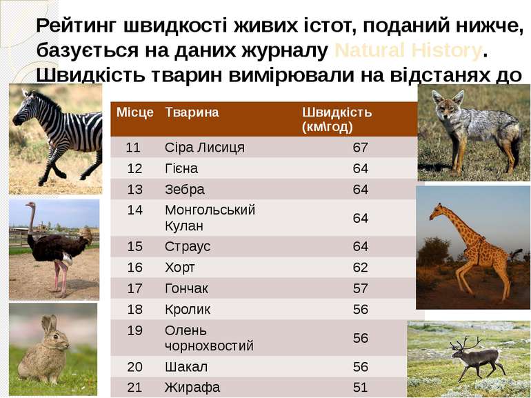 Рейтинг швидкості живих істот, поданий нижче, базується на даних журналу Natu...