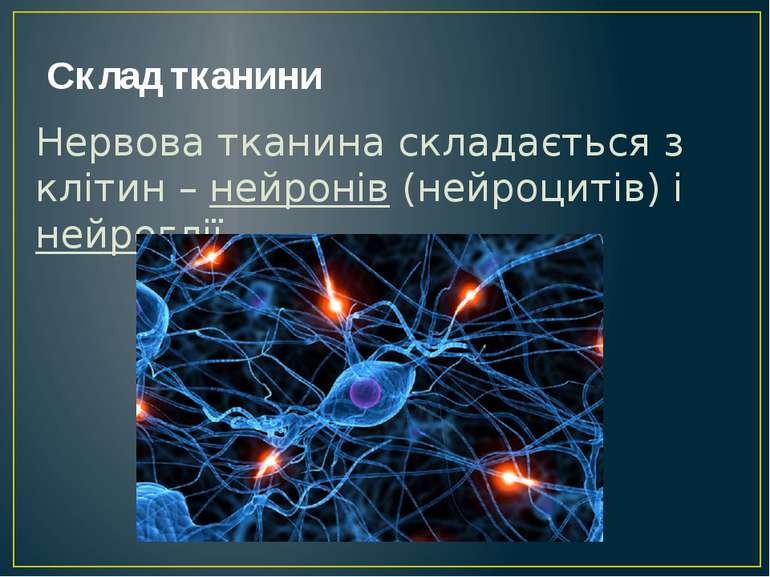 Склад тканини Нервова тканина складається з клітин – нейронів (нейроцитів) і ...