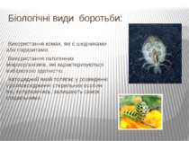 Біологічні види боротьби: Використання комах, які є шкідниками або паразитами...