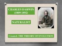 CHARLES DARWIN (1809-1892) NATURALIST Created: THE THEORY OF EVOLUTION